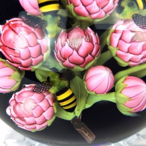 Pink Protea Flowers & Honeybee by Clinton Smith